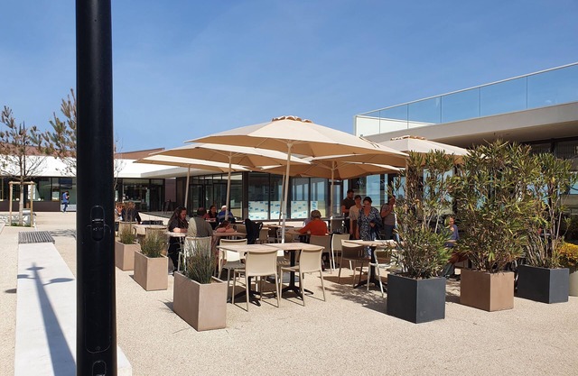 Charming apartment in small residence 50m from the beach in luc sur mer
