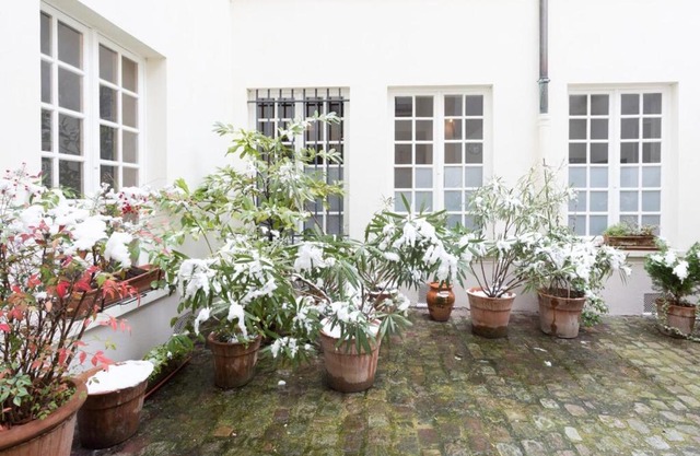 Charming Appartment in Le Marais