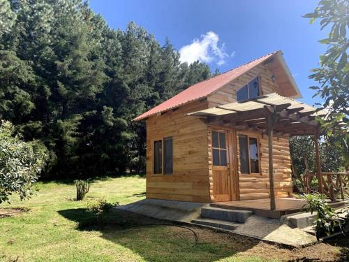 Charming cabin surrounded by nature