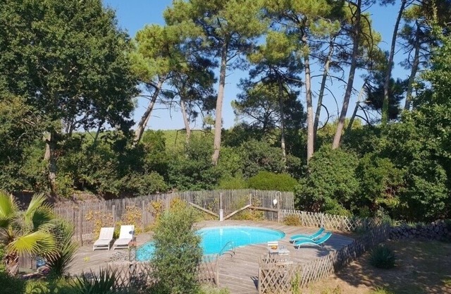 Charming, fully renovated villa with breathtaking forest views.