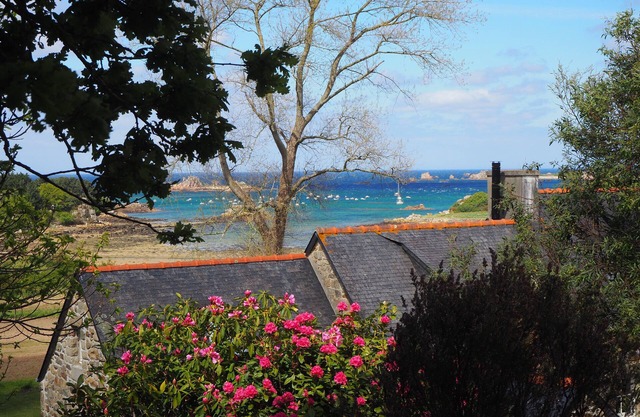 Charming house with sea view