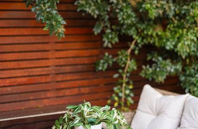 Charming house in Leichhardt