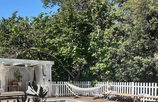 Charming house with pool in small village of Herault in the heart of vineyards