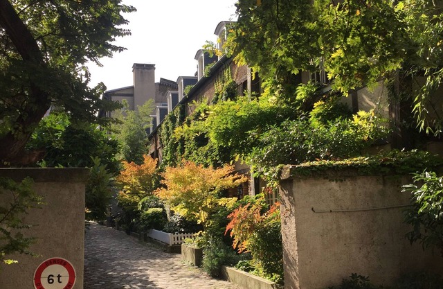 Charming Mews House near Rodin Museum - 4 to 5 bdrs - 3bthrs- 3 floors