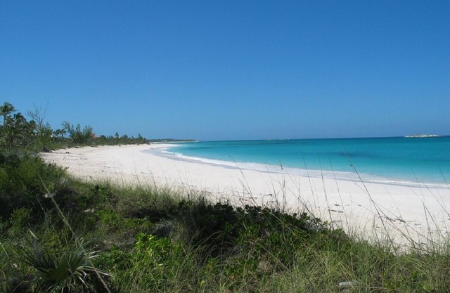 Charming, secluded, beachfront cottage