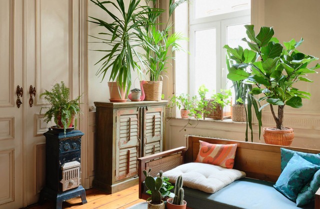Charming spacious house with leafy garden close to downtown Brussels