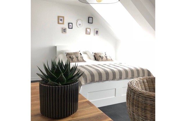 Charming Studio Facing the Port and 100 m from the Beach