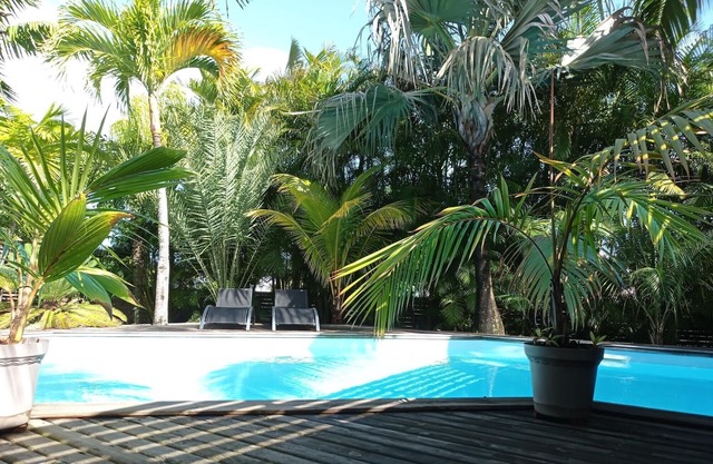 Charming tropical studio