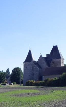 Chateau de Chémery