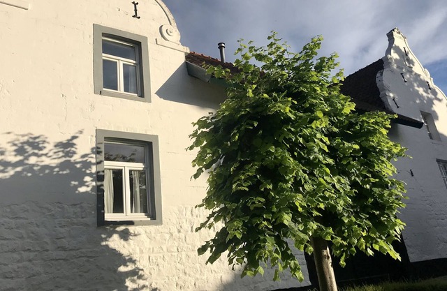 Chateau Meaucea