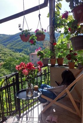Cherqe Guest House