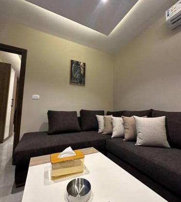 Chic Apartments For Rent ave1-3