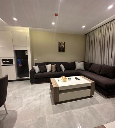 Chic Apartments For Rent ave1-6