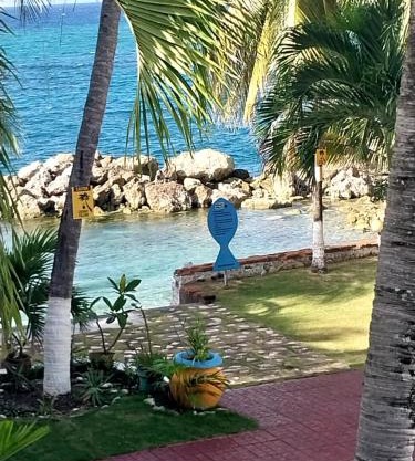 Chrisanns beach resorts