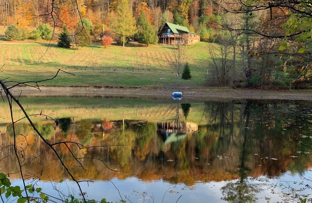 Christmas Tree Farm A-Frame Retreat: Sauna + Views + Near PSU
