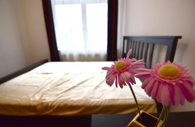 City Apartment Köln