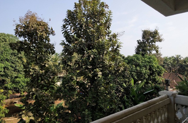 Classic 1-Bedroom Apartment at Colva, Goa