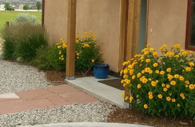 Close to downtown Salida, trails, bike path with great outdoor space!*