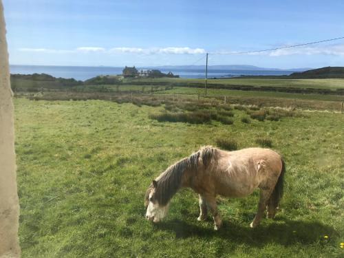Cnocanreoch Farm Glamping