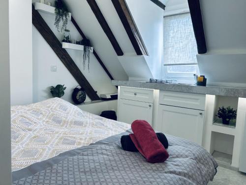 Cocon au cœur de Strasbourg