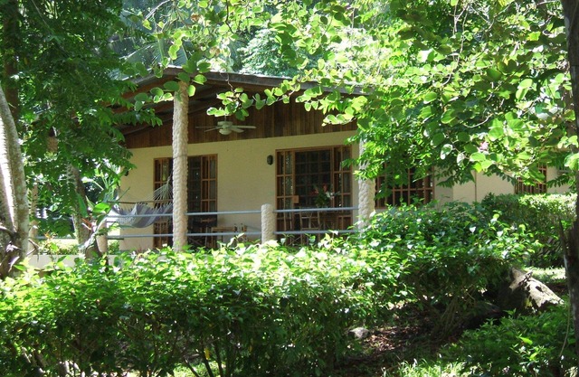Coconut Grove Oceanfront Cottages Playa Domincalito