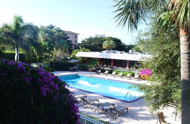 Collins Hotel Naples