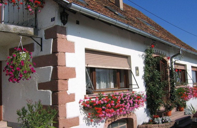Come and discover the Floralies in the heart of the Val de Villé