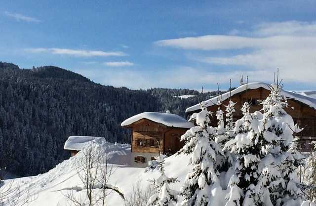 Comfortable chalet with sauna, WiFi, and private parking