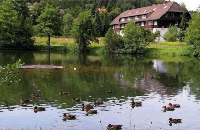 Comfortable holiday residence on the lake