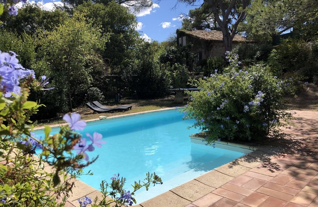 Comfortable house for 8 + 2 people with pool and old pine trees