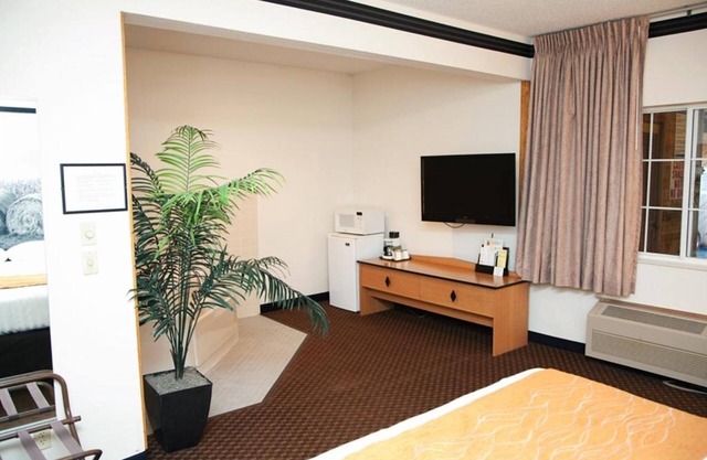 Comfortable Room w/Kitchette, BBQ Grill, and Complimentary Breakfast