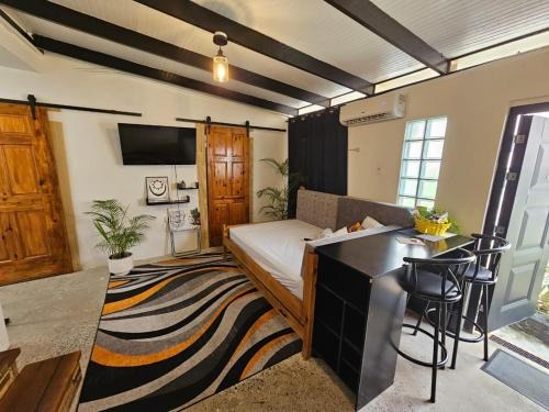 Comfy Carnival Rental