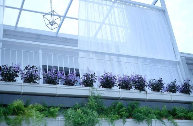 Comfy Sofy 23- Balcony Garden (Night market)