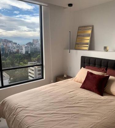 Confort suite La Carolina