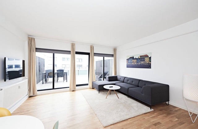 Cool 1-BR apartment with a private terrace - 23