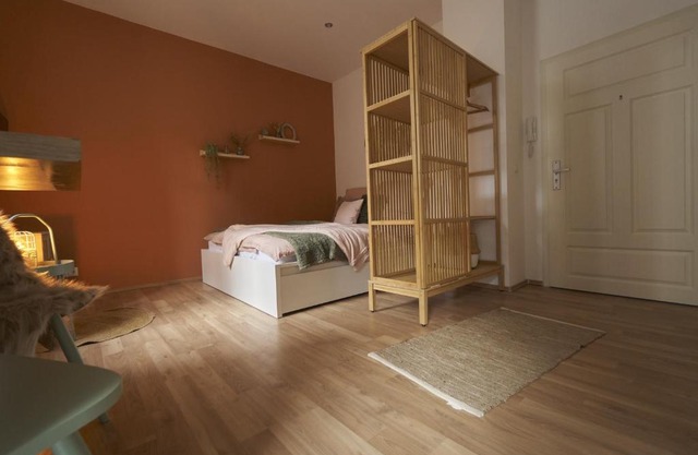 Coole Altbau-WE 1-ZKB Terrasse Worms Zentrum