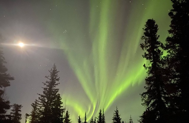 *Copper Cabin *Studio apartment* *Alaskan comfort near Denali Park* Washer/Dryer