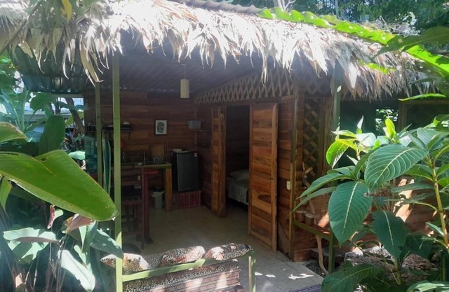 Coral Studio