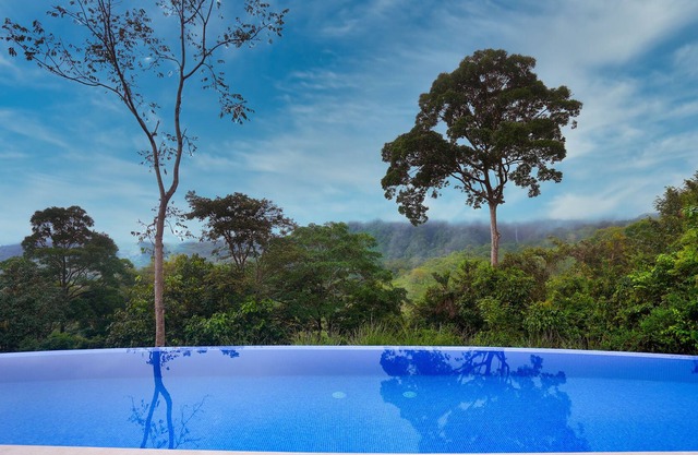 Costa Rica Jungle Experience