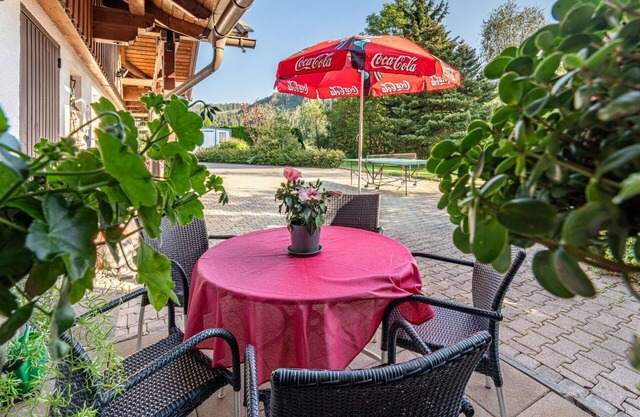 Cosy apartment for 4 guests with WIFI, TV, patio and pets allowed