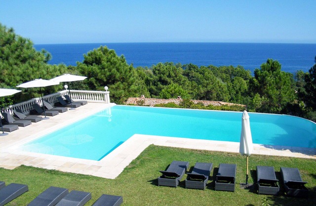 Cosy apartment in villa with A/C, WIFI, pool, TV, patio, pets allowed and panoramic view