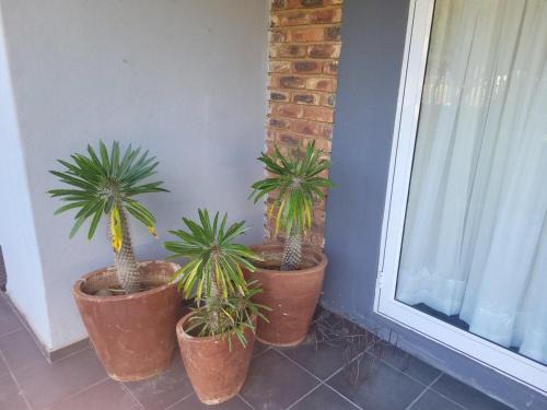 Cosy - Best Rest Potch