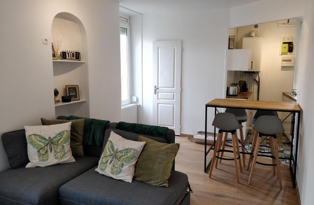 Cosy T2 31m2 - Centre-Ville Dijon - Gare et Darcy
