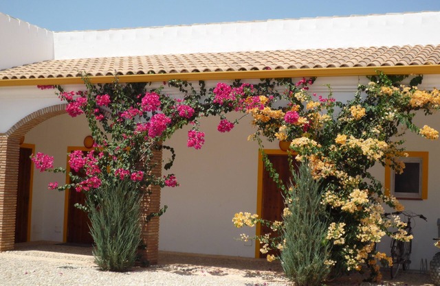 cottage Finca las Gateras