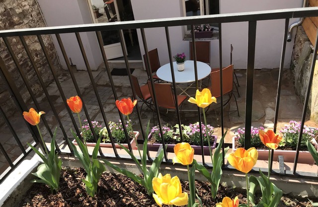 cottage in charming Alsatian village on the wine route