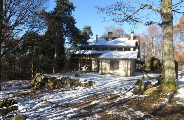 Cottage in the middle of the forest