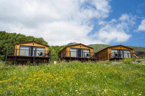 Cottage Mountain crystal kazbegi