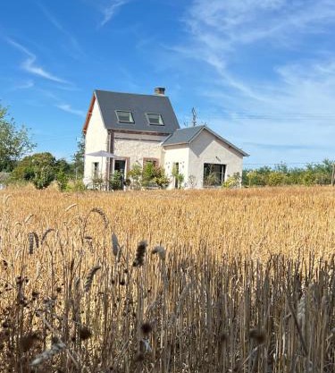 Cottage romantique dans les champs