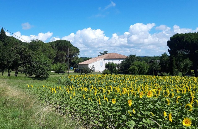 Country cottage