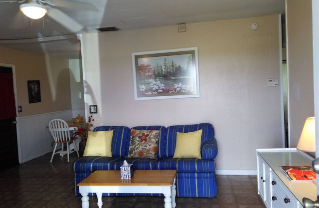 Country Farm house nr Legoland Disney Bok Skydiving Pets